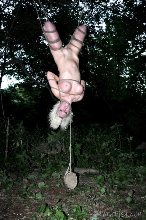 Cherry Torn: Busty Blonde Hangs Upside Down for Outdoor BDSM Blowjob – photo 14 of 16