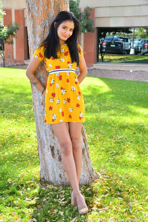 Viva Athena: Asian Brunette Flashes Her Pussy in a Summer Dress – photo 6 of 20
