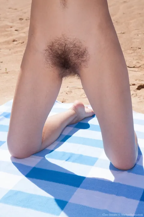 Cleo Dream: Slim Hairy Brunette Fingers Her Pussy on the Beach – photo 10 of 21