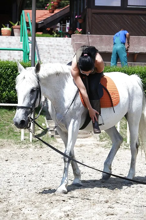 Aletta Ocean: Busty Brunette in Glasses Poses Nude Outdoors with a Horse – photo 4 of 16