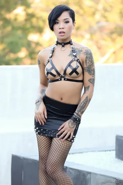 Honey Gold: Ebony Brunette in Fishnet Stockings Spreads Outdoors – photo 2 of 17