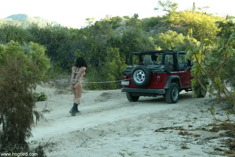 Dee Williams: Bound Brunette MILF Whipped Beside a Jeep in the Forest – photo 10 of 20