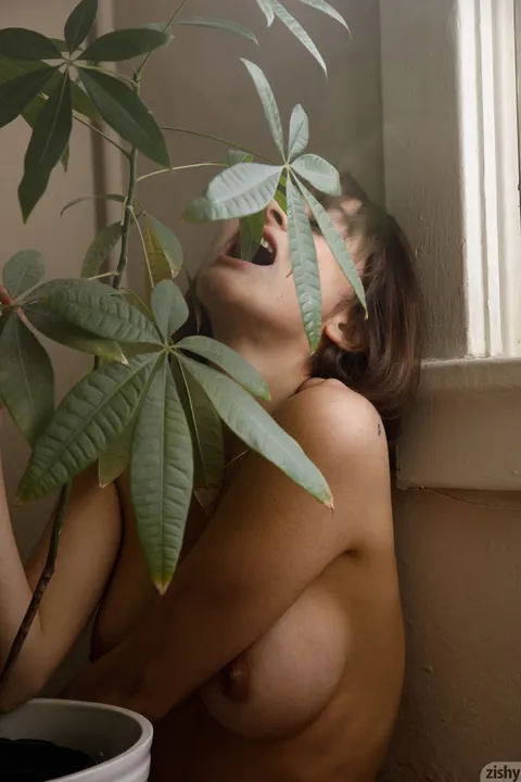 Basil Navas: Petite Amateur Woman Poses Nude – photo 7 of 12