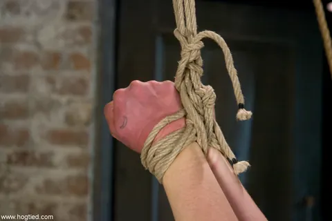 Busty Woman Bound in Rope Gives a Handjob – photo 12 of 21