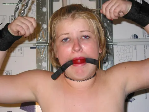Bound Blonde with Big Tits Ball Gagged and Strained – photo 12 of 16