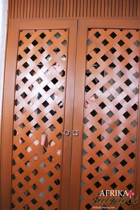 Trans Woman Undresses and Turns for the Camera – photo 10 of 13