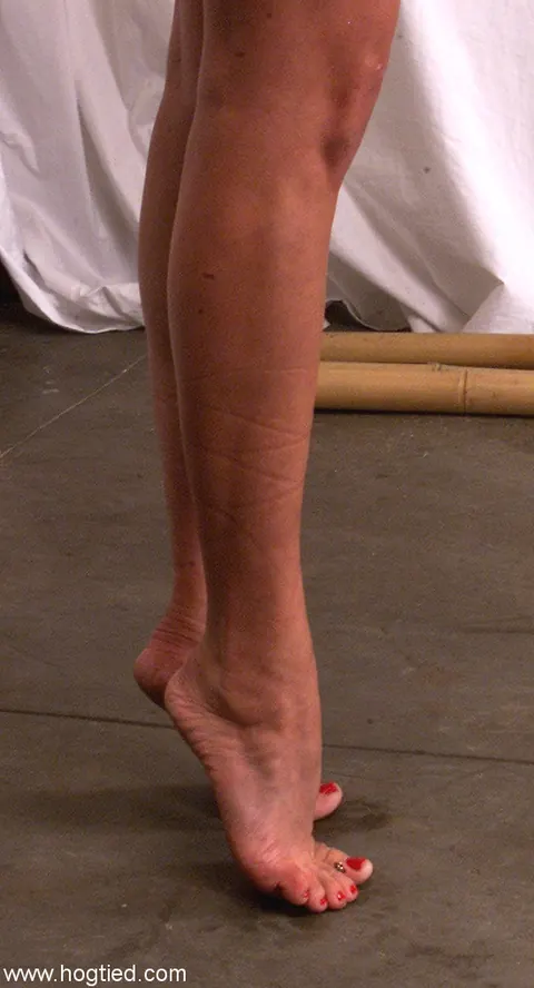 Woman in Lingerie Balances on Tiptoes with Hands Bound Overhead – photo 9 of 10