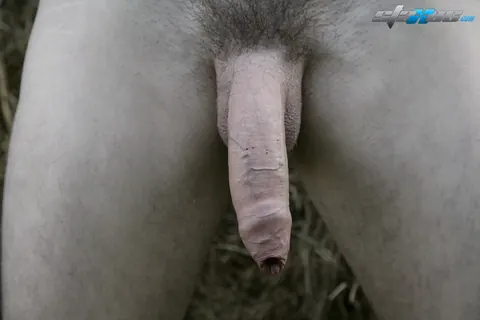 Hairy Blonde Man Masturbates Anally Outdoors – photo 17 of 20