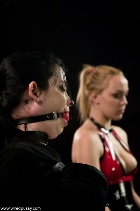 Annette Schwarz: Tall Busty Blonde and Brunette in Skirts Share Lesbian BDSM – photo 5 of 21