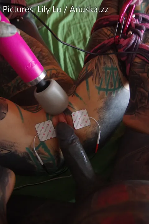 Anuskatzz: Tattooed Brunette Masturbates and Takes Anal in Bondage – photo 3 of 16