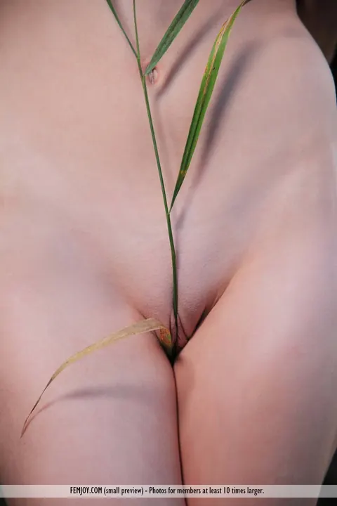 Agatha D: PAWG Brunette Spreads Her Pussy in the Forest – photo 11 of 16