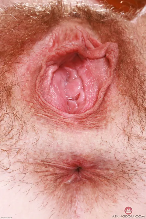 Chloe Foster: Petite Blonde Spreads Her Hairy Pussy and Asshole – photo 20 of 21