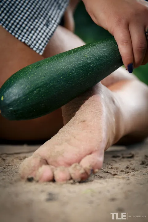 Lola Ash: Brunette Fingers Her Hairy Pussy and Uses Cucumber Outdoors – photo 7 of 16