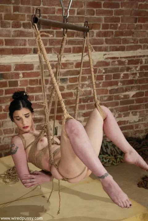 Shade Paine: Brunette MILF Takes a Dildo in Her Ass While Tied Up – photo 1 of 20