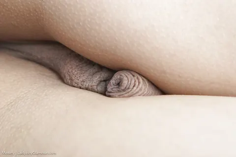 Busty Thai Trans Woman Undresses and Shows Her Hairy Bush – photo 12 of 16