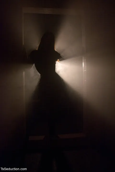 Trans Woman Dominates Bound Partner with Bondage and Sex – photo 3 of 14