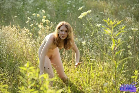 Nicki Blue: Redhead with Big Enhanced Tits Poses Nude in an Overgrown Field – photo 13 of 15
