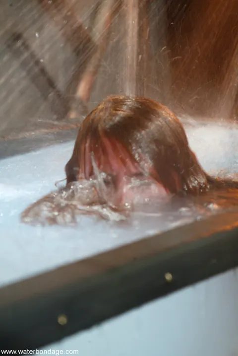 Kendra James: Redhead MILF Bound in Water Bondage Outdoors – photo 13 of 21
