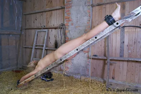 Blonde Woman Bound Upside Down on a Ladder in a Barn – photo 14 of 16