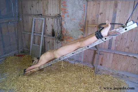 Blonde Woman Bound Upside Down on a Ladder in a Barn – photo 7 of 16