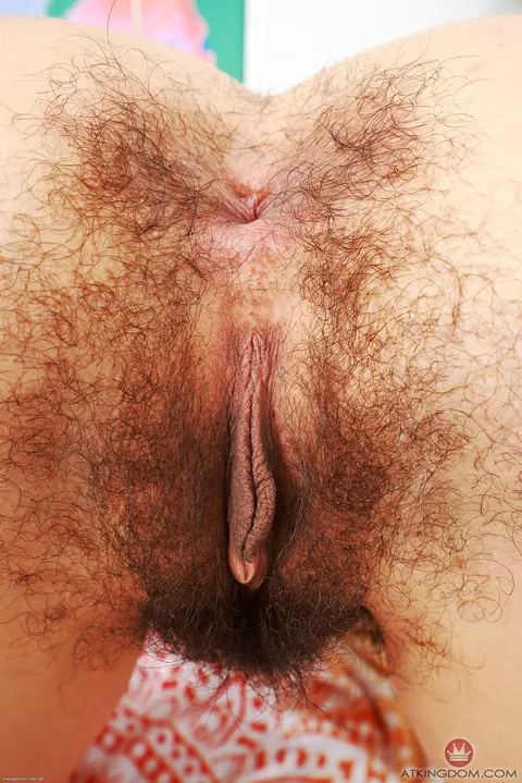 Slim Petite Babe Spreads Her Hairy Pussy and Ass – photo 19 of 21
