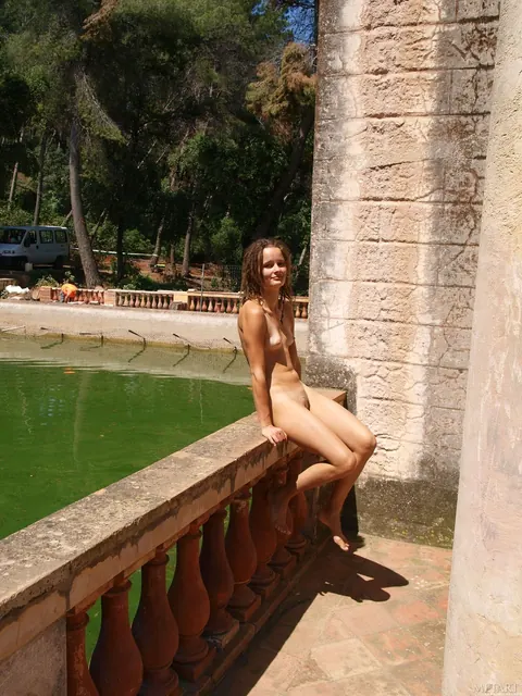 Slim Hairy Brunette Strips Nude and Spreads in Public – photo 1 of 21