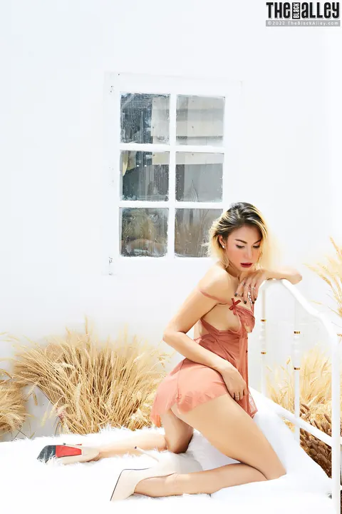 Priscilla Milan: Asian Blonde in Lingerie Strips and Spreads – photo 4 of 16