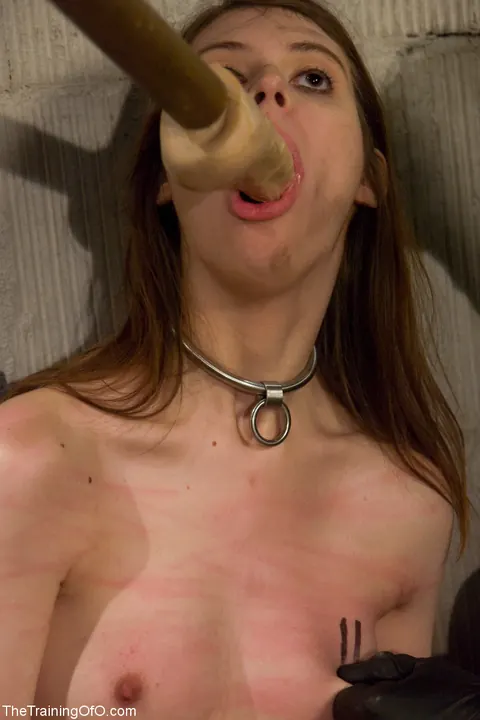 Brunette Submits to Bondage, Toys and Anal – photo 17 of 20