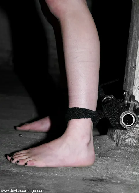 Alexa Von Tess: Tall Blonde and Brunette in Bondage Masturbate with Dildos – photo 18 of 20