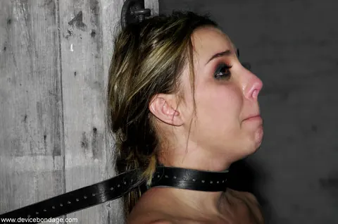 Alexa Von Tess: Tall Blonde and Brunette in Bondage Masturbate with Dildos – photo 17 of 20
