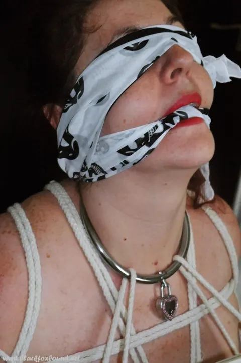 Brunette MILF with Big Tits Gagged and Bound in Bondage – photo 2 of 16