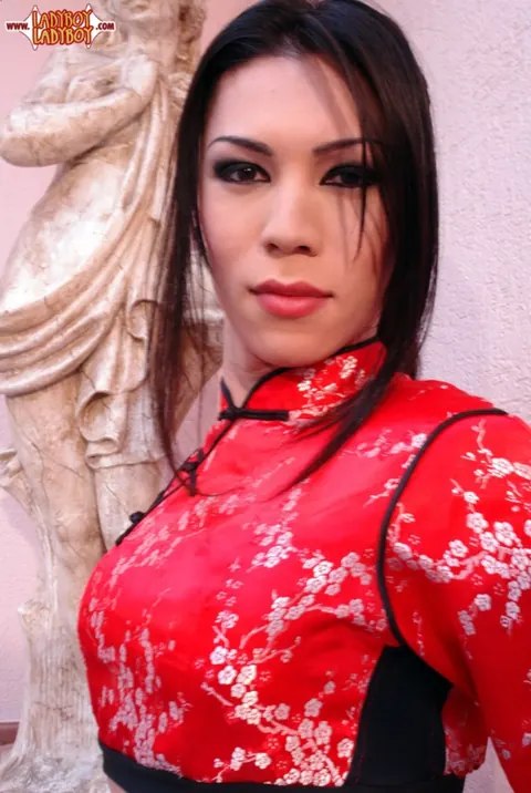Asian Trans Woman Strips Off Her Lingerie and Bares Her Body – photo 2 of 16