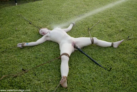 Petite Redhead MILF Bound and Spread Outdoors – photo 17 of 20