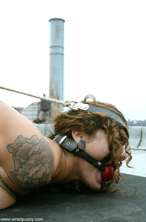 Nadia Styles: Busty Latina Brunette Dominates Bound Woman Outdoors – photo 17 of 21