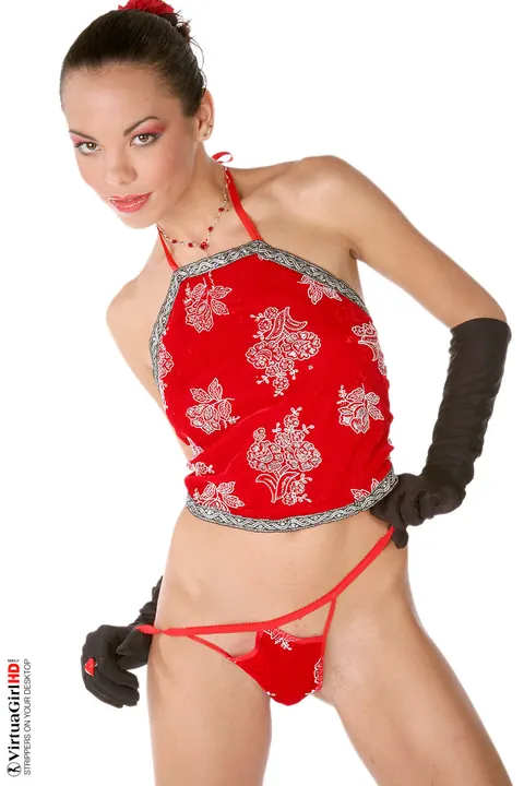 Dorothy Bank: Thick Brunette MILF in Lingerie Wields a Samurai Sword – photo 4 of 15