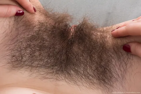 Kelly Morgan: Brunette Sheds Her Lingerie and Spreads Her Hairy Pussy Wide – photo 10 of 16