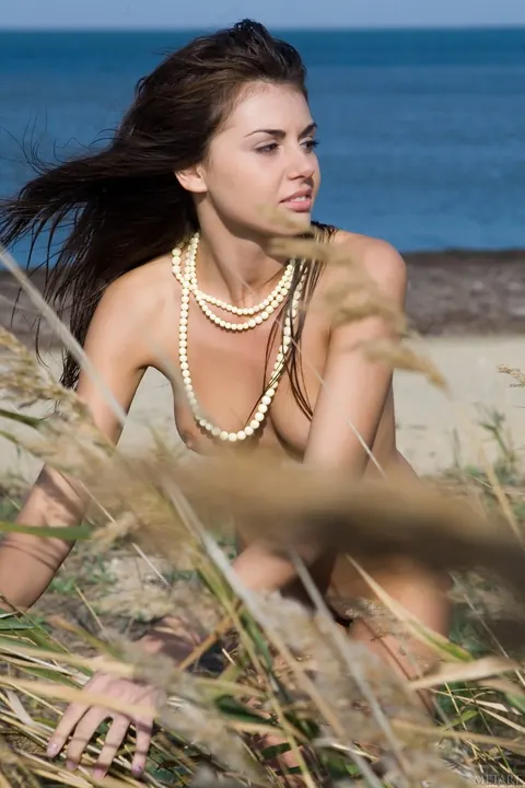 Astrud A: Brunette with Big Tits Strips and Spreads on the Beach – photo 17 of 21