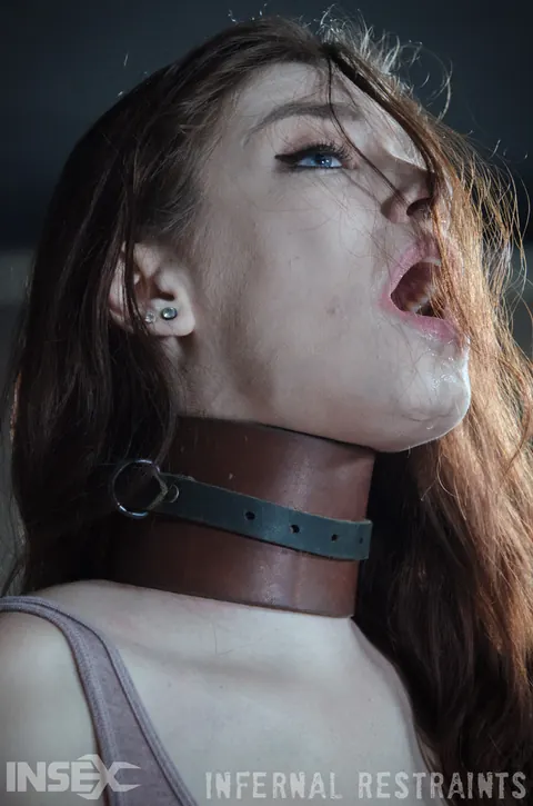Bobbi Dylan: Slim Redhead in Bondage Spreads Her Hairy Pussy – photo 9 of 14