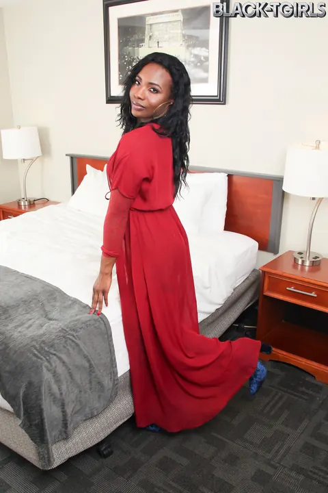 Ebony Trans Woman Poses in Lingerie and Stockings – photo 1 of 16