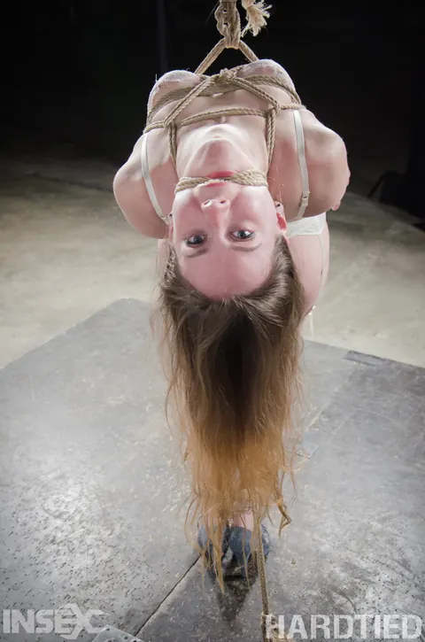 Sierra Cirque: Pale Brunette in Lingerie Suspended for Bondage and Dildo Play – photo 4 of 14