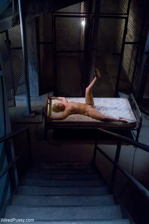 Sasha Knox: Blonde MILF and Brunette Use a Strap-On and Fist in Bondage – photo 1 of 21