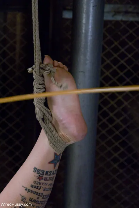 Sasha Knox: Blonde MILF and Brunette Use a Strap-On and Fist in Bondage – photo 4 of 21