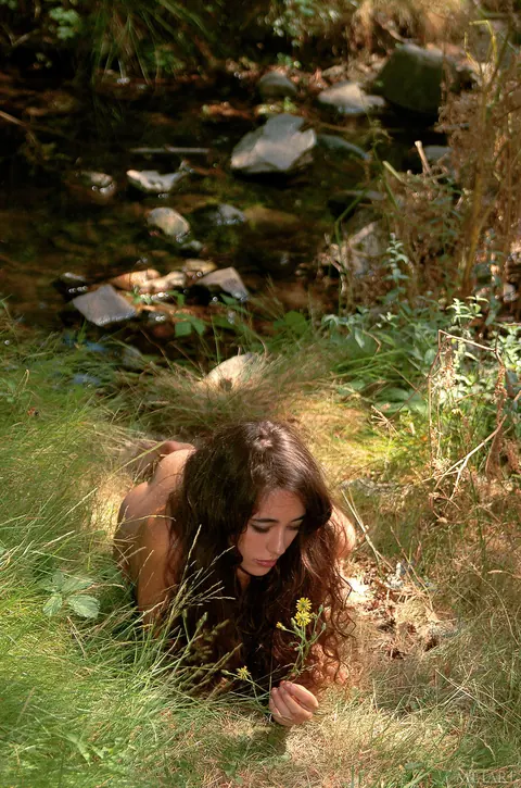 Larissa A: Thick Ebony Brunette Poses Nude Outdoors with Hairy Bush – photo 14 of 21