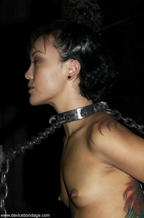 Jandi Lin: Petite Asian Brunette in Bondage Spreads for the Camera – photo 6 of 21