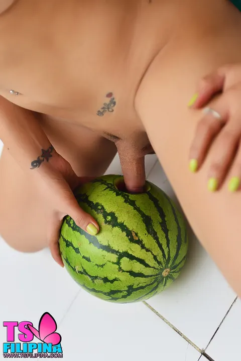 Brunette Trans Woman Poses in Panties and Shows Her Big Tits – photo 1 of 15