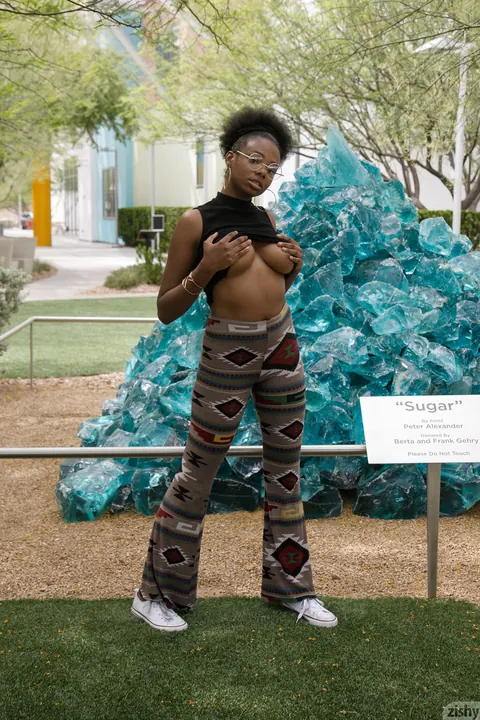 Neda Marie: Petite Ebony Babe Flashes Her Big Natural Tits Outdoors – photo 4 of 12