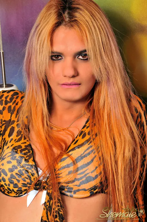Trans Woman with Small Tits Undresses and Masturbates – photo 2 of 21