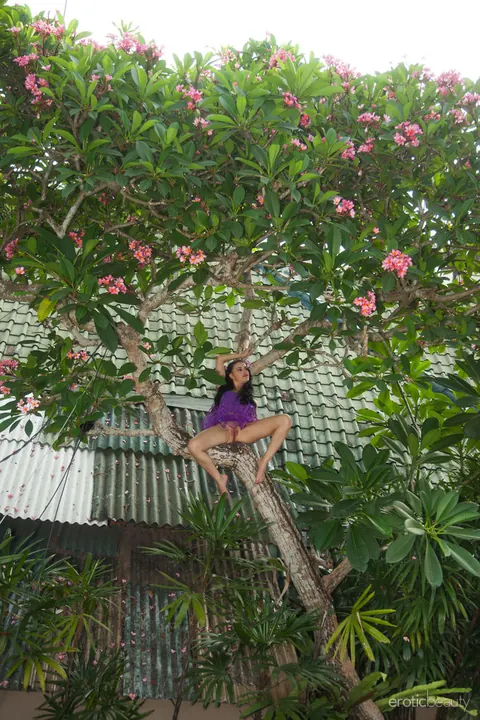 Brunette PAWG Climbs Tree in a Skirt and Spreads – photo 6 of 16