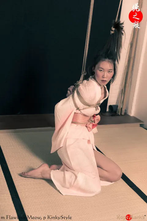 Asian Brunette Bound in Rope Wearing Panties – photo 7 of 16