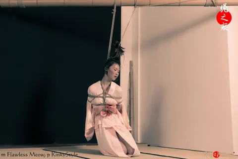 Asian Brunette Bound in Rope Wearing Panties – photo 2 of 16